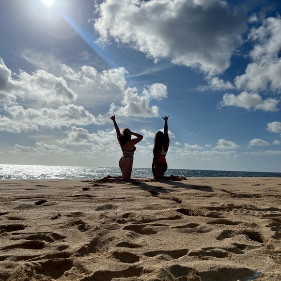 Meet your Posher, Belle - Picture 1 of 1